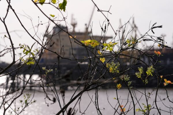 Volatilidad en petróleo y consolidación bursátil de Active Leasing en México