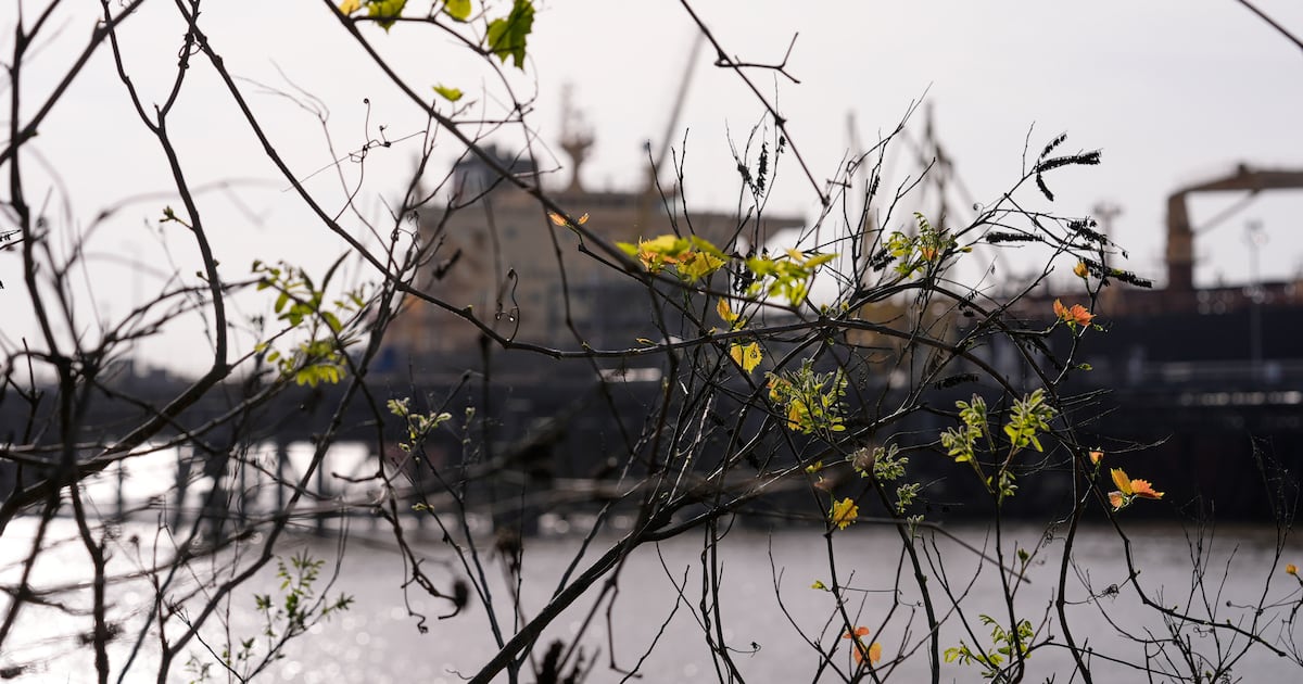 Volatilidad en petróleo y consolidación bursátil de Active Leasing en México