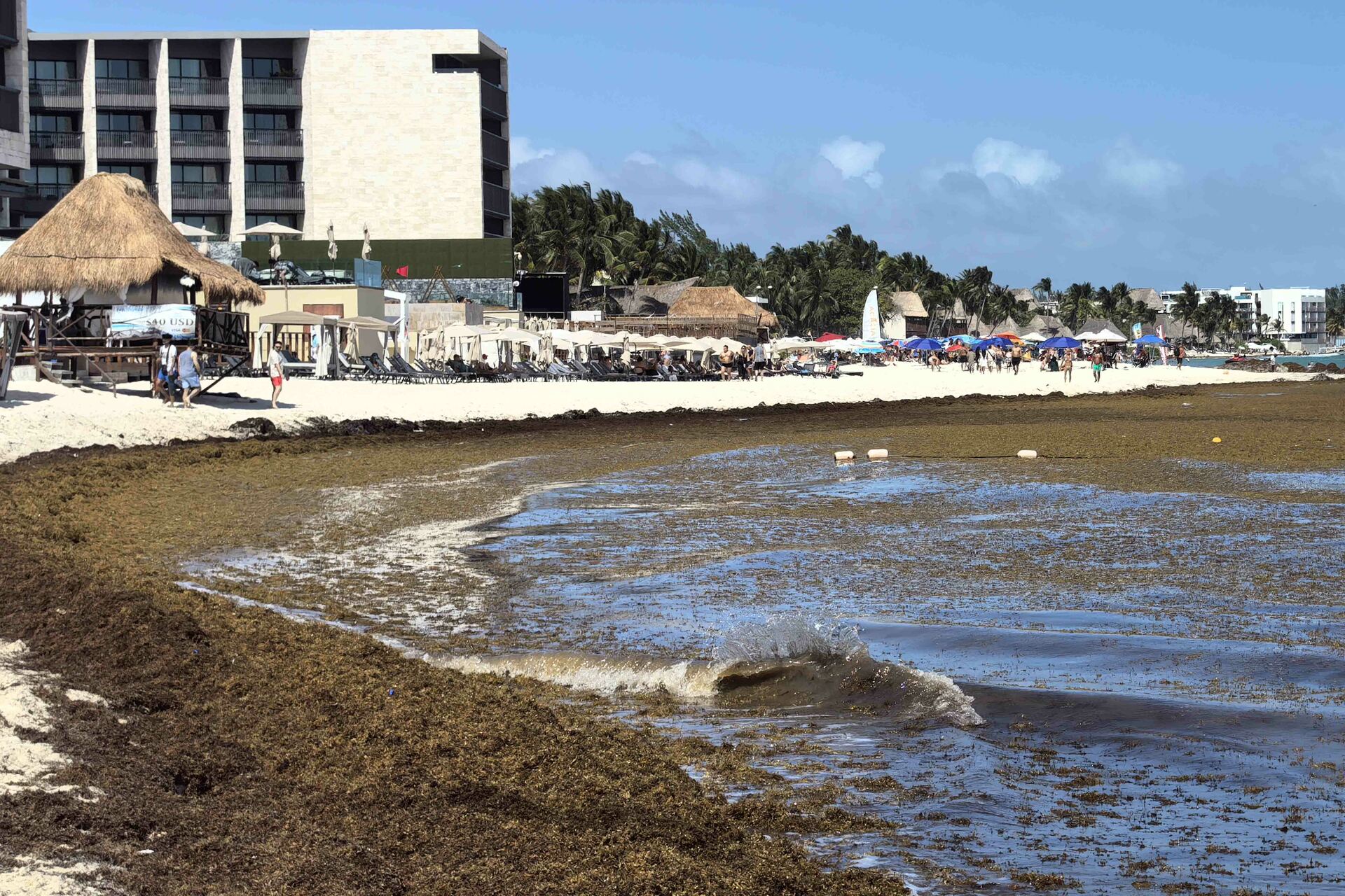 Activan bandera roja en Puerto Escondido por mar de fondo; reportan afectaciones en otras playas