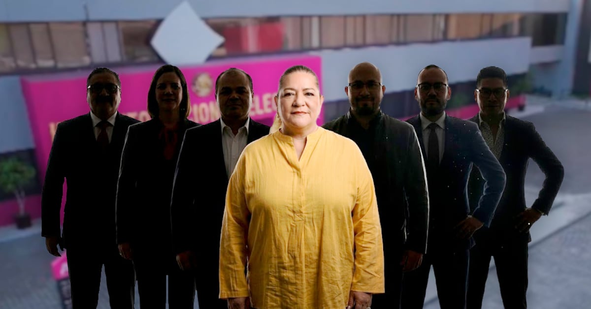 Critican proceso de selección de consejeros del INE por perfiles cercanos a Guadalupe Taddei