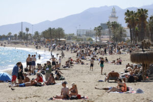 Reportan fauna marina muerta en Tijuana y Veracruz mientras el gobierno federal asegura protección de tortugas en Tamaulipas