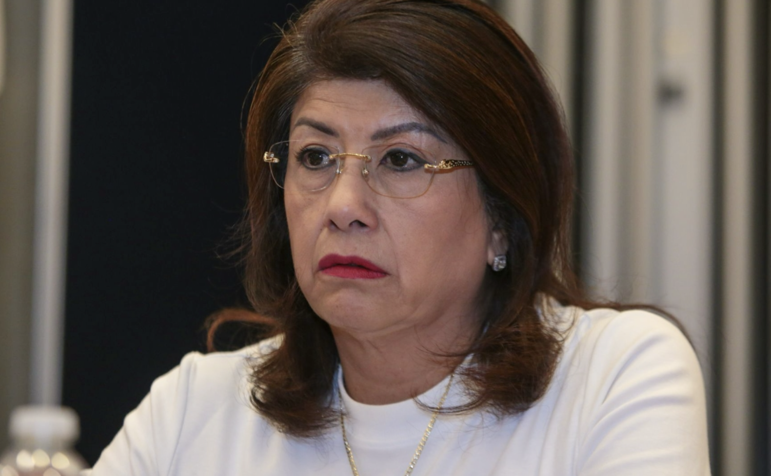 Investigación contra senadora Mariela Gutiérrez por sacrificio de 10 mil perros en Tecámac