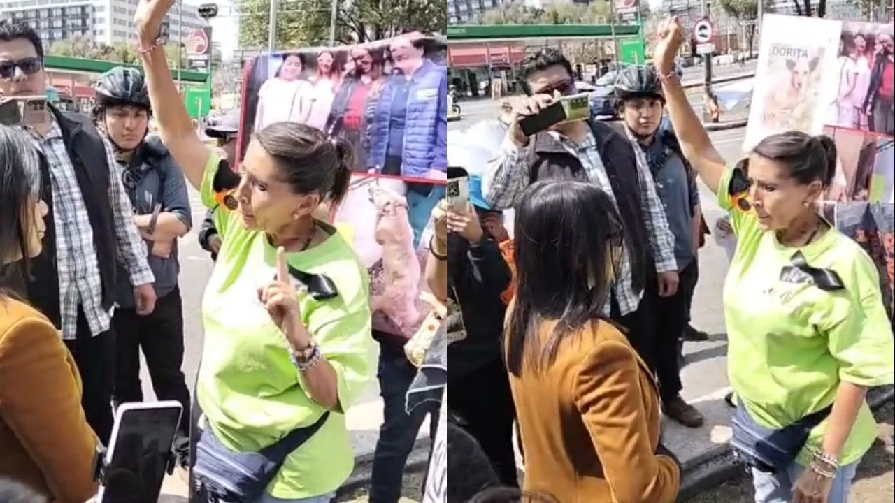 Activistas bloquean Reforma e Insurgentes exigiendo devolución de animales del Refugio Franciscano