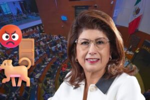 Senadora Mariela Gutiérrez admite sacrificio de casi 11 mil perros en Tecámac; activistas exigen su salida