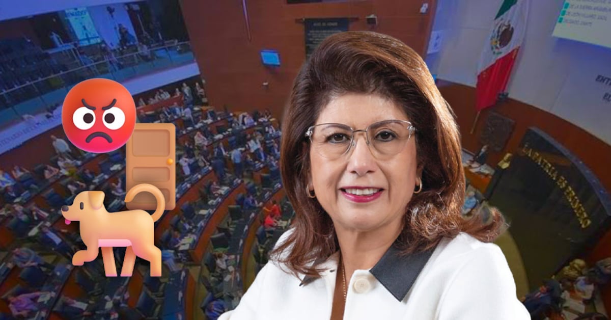 Senadora Mariela Gutiérrez admite sacrificio de casi 11 mil perros en Tecámac; activistas exigen su salida