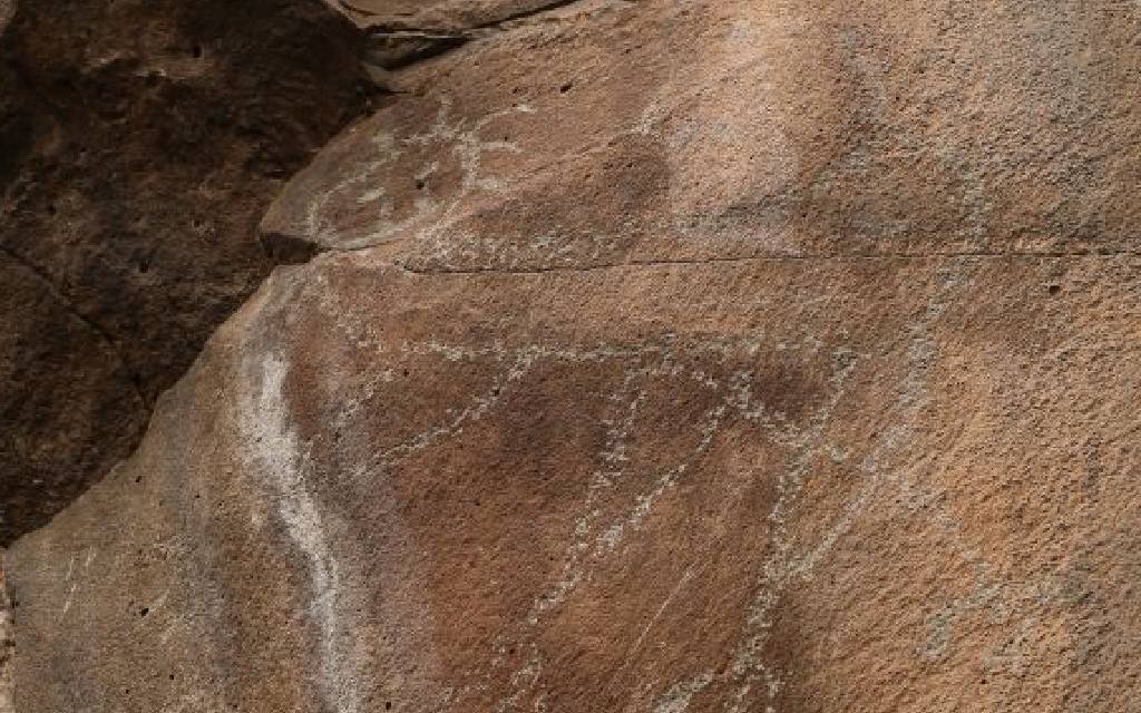 Hallan 16 elementos gráfico-rupestres en Hidalgo durante obras del Tren México-Querétaro