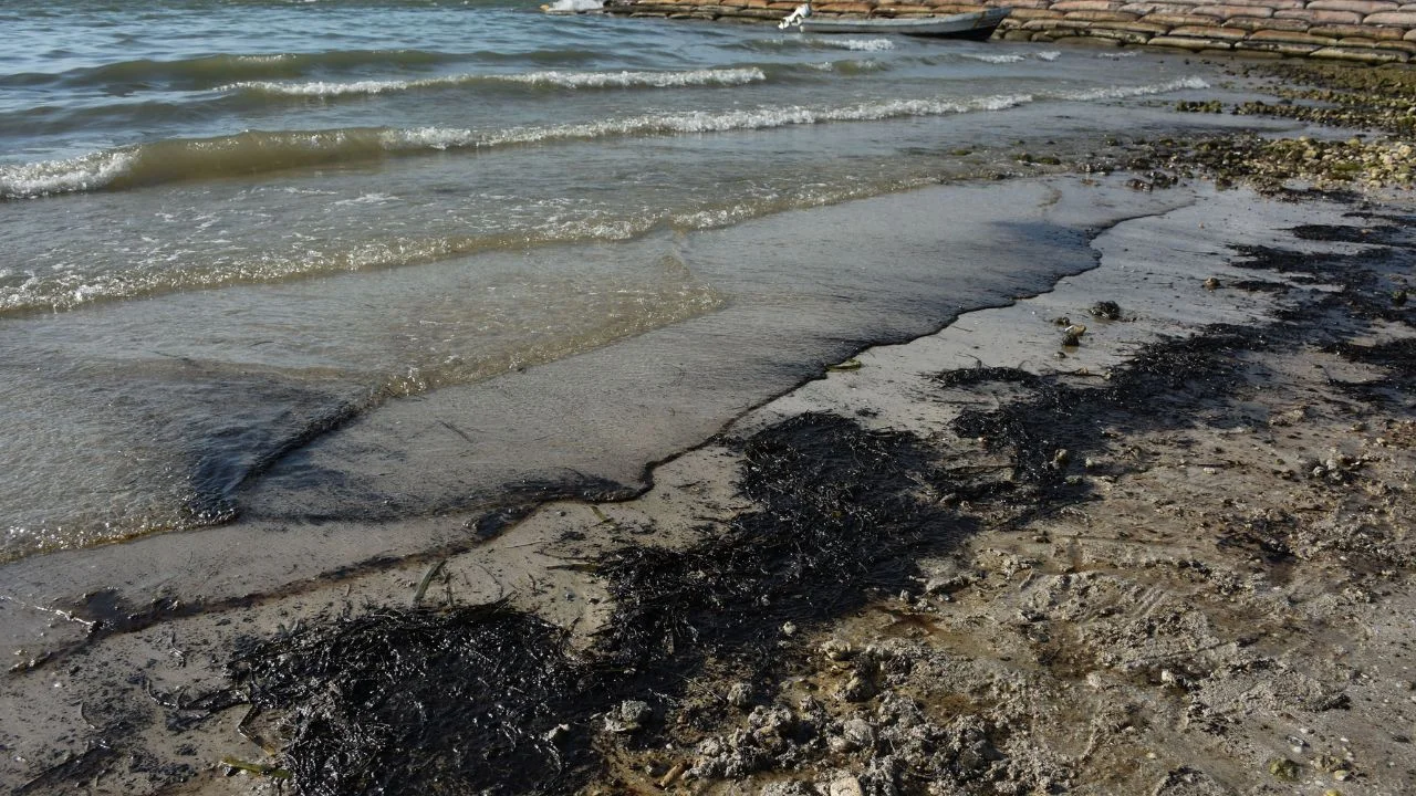 Autoridades atribuyen a chapopoteras naturales derrame en el Golfo; descartan fuga tras revisión de instalaciones