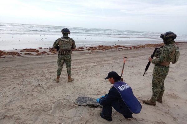 Recolectan 894.2 toneladas de hidrocarburo en el litoral del Golfo de México