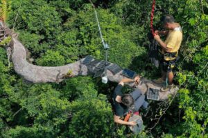 Semarnat simplifica trámites ambientales y SCJN avala protección de Yum Balam