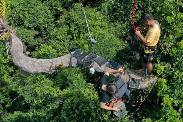 Semarnat simplifica trámites ambientales y SCJN avala protección de Yum Balam