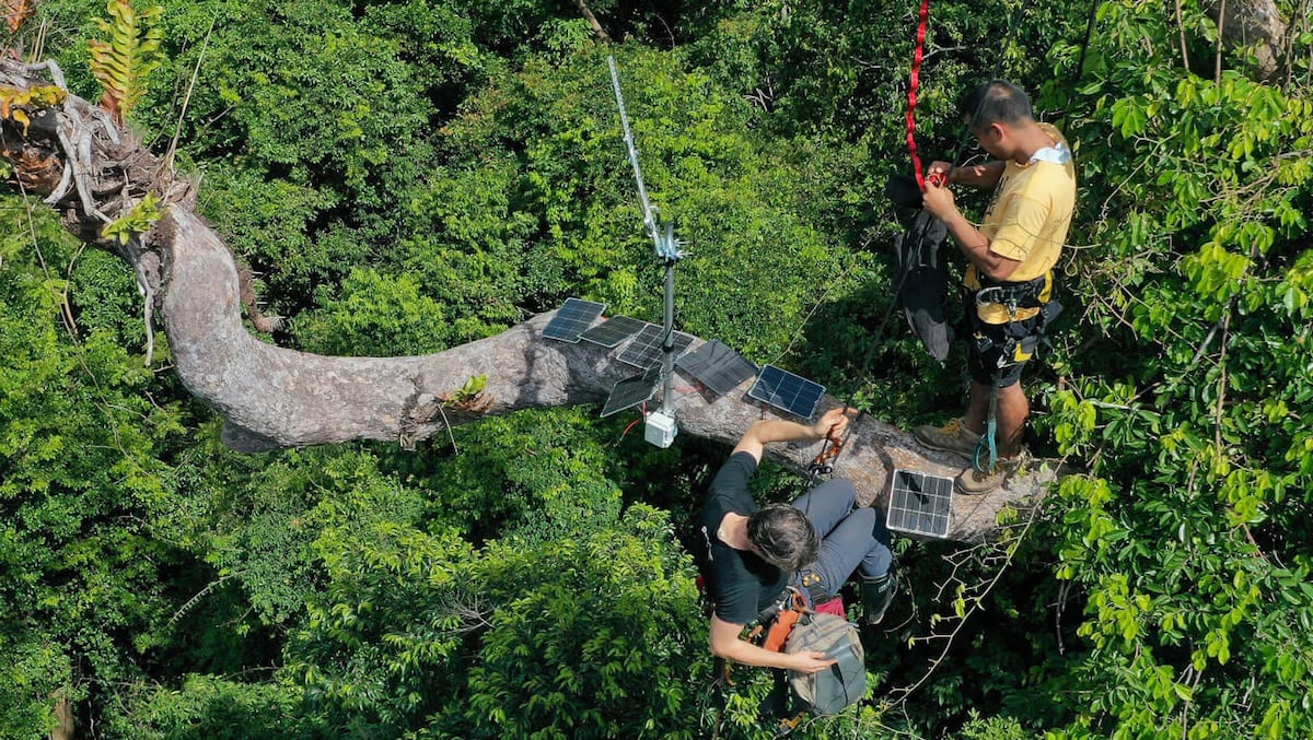 Semarnat simplifica trámites ambientales y SCJN avala protección de Yum Balam