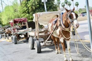 Invierte CEA mil 600 mdp en modernización del servicio de limpieza en Torreón