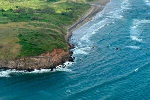 Autoridades y organizaciones discrepan sobre origen y alcance de derrame de hidrocarburo en Golfo de México