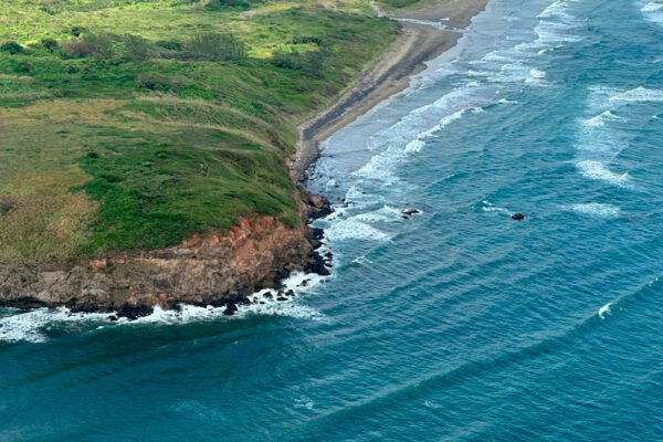 Autoridades y organizaciones discrepan sobre origen y alcance de derrame de hidrocarburo en Golfo de México