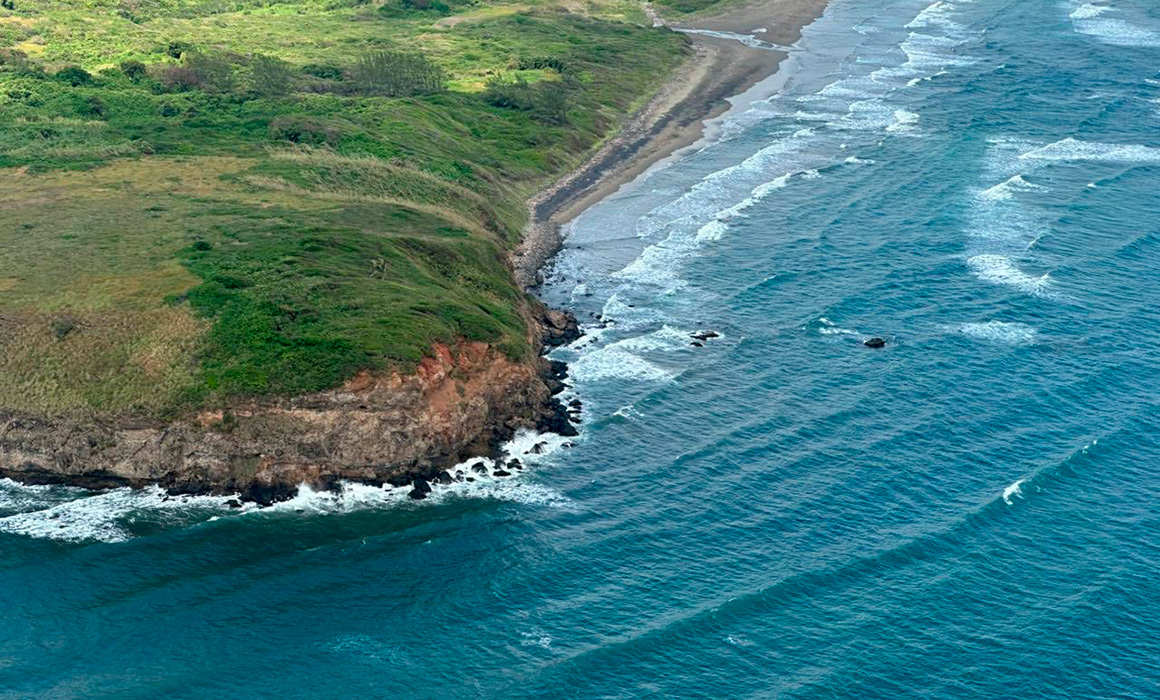 Autoridades y organizaciones discrepan sobre origen y alcance de derrame de hidrocarburo en Golfo de México