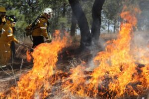 México acumula 2,332 incendios forestales en lo que va de 2026
