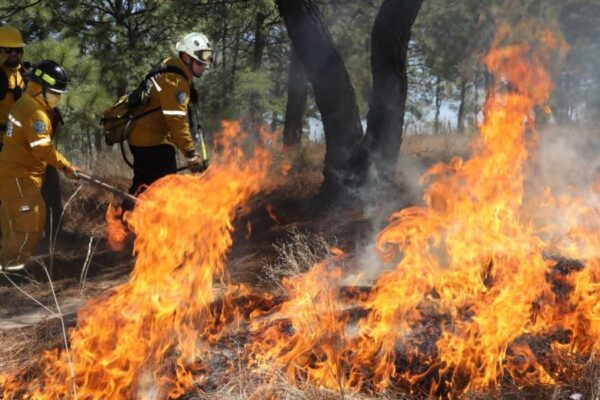 México acumula 2,332 incendios forestales en lo que va de 2026