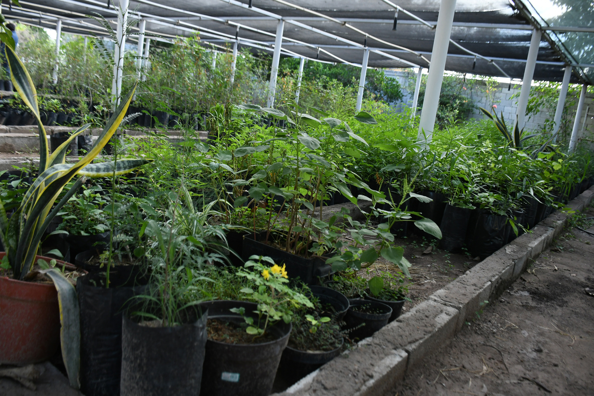 Aprueba Cabildo de Torreón estímulos fiscales del 70% y enfrenta protesta sindical