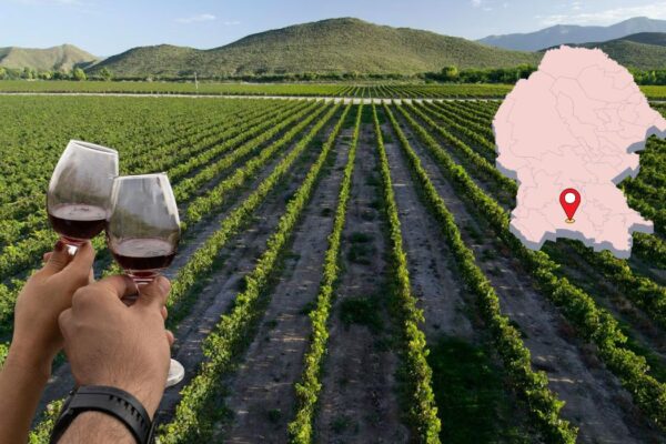 Guanajuato lidera a México en Concurso Internacional Bacchus Madrid 2026 con 26 medallas