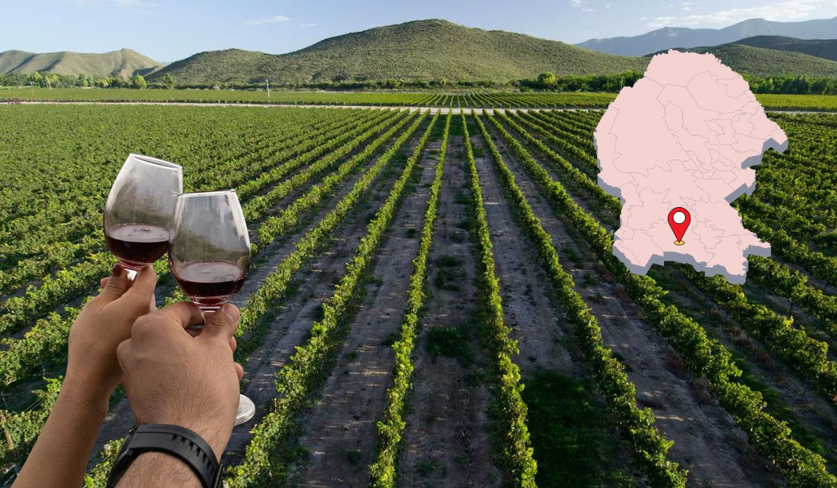 Guanajuato lidera a México en Concurso Internacional Bacchus Madrid 2026 con 26 medallas