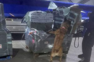 La Marina ejecuta operativos en CDMX, Edomex, Morelos y AICM; detiene a 26 personas y decomisa cigarros