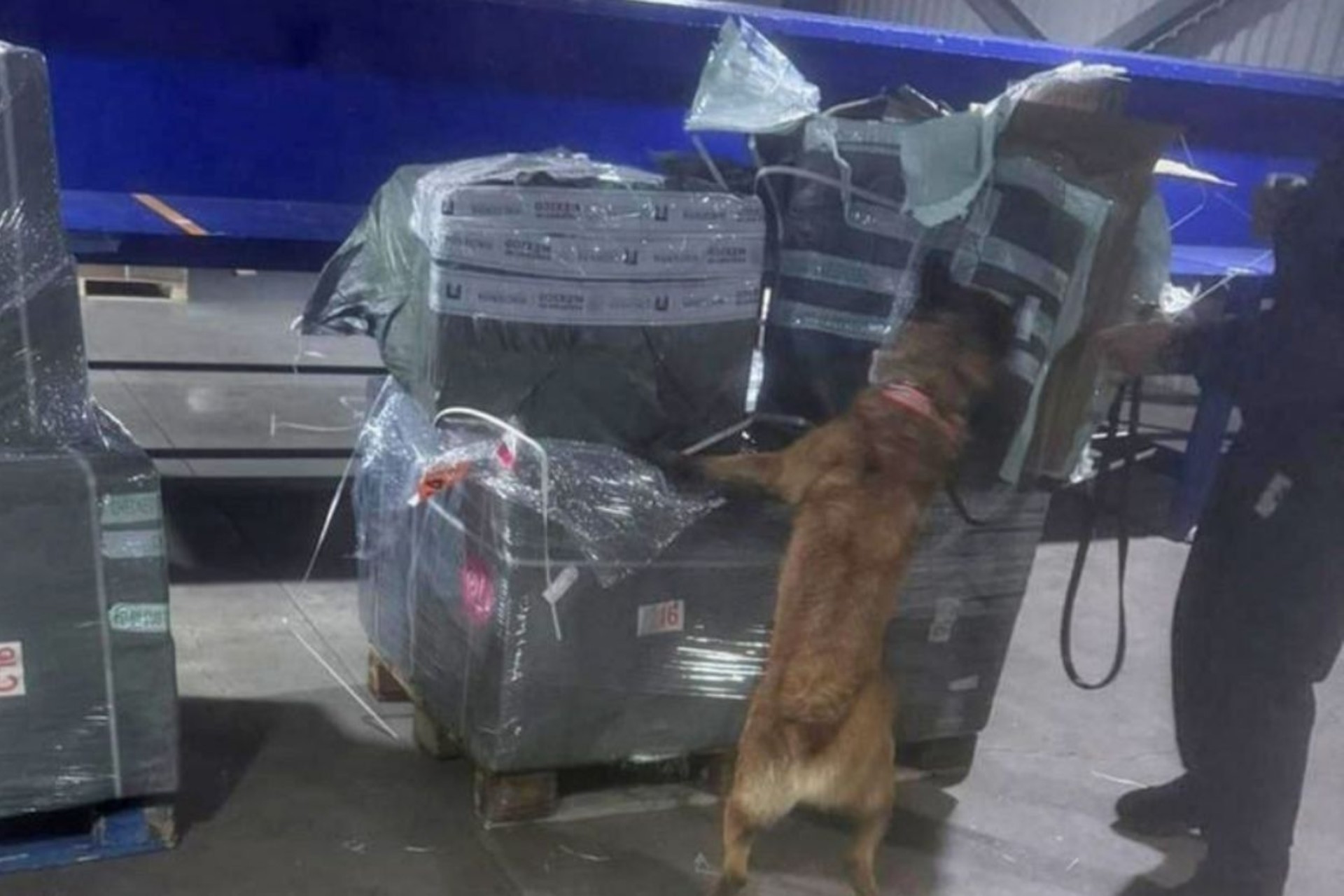 La Marina ejecuta operativos en CDMX, Edomex, Morelos y AICM; detiene a 26 personas y decomisa cigarros