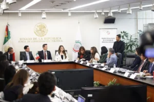 Comisión del Senado ratifica a Roberto Velasco como titular de la Cancillería