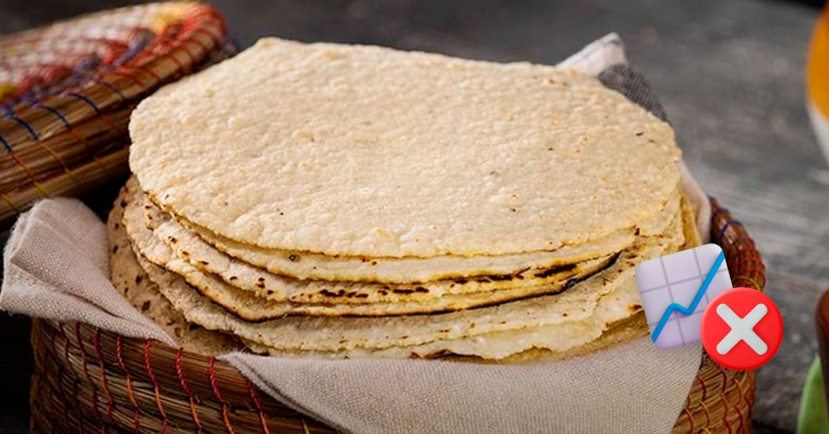 Industriales y gobierno descartan aumento de tortilla pese a anuncio del CNT