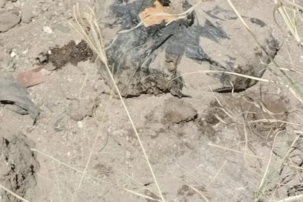 Colectivo halla fosa clandestina con restos óseos en fraccionamiento de Tlajomulco