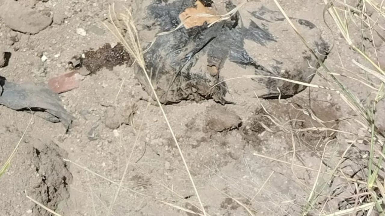 Colectivo halla fosa clandestina con restos óseos en fraccionamiento de Tlajomulco