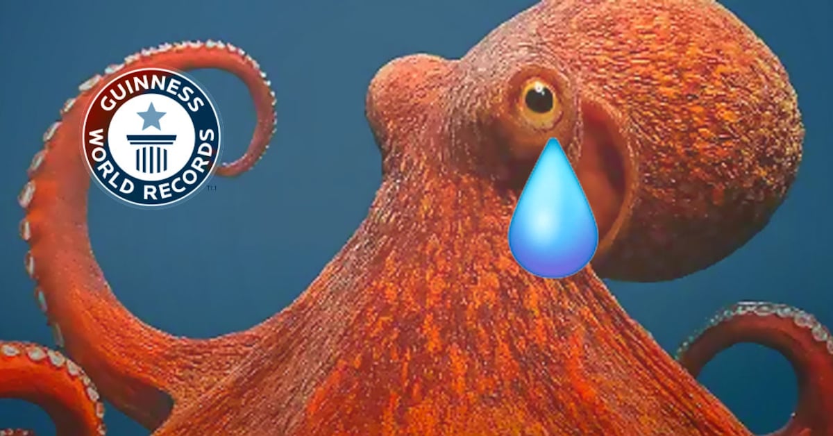 Astronautas de Artemis II comparten experiencias tras sobrevuelo lunar; fósil pierde récord Guinness y abejas demuestran capacidad rítmica