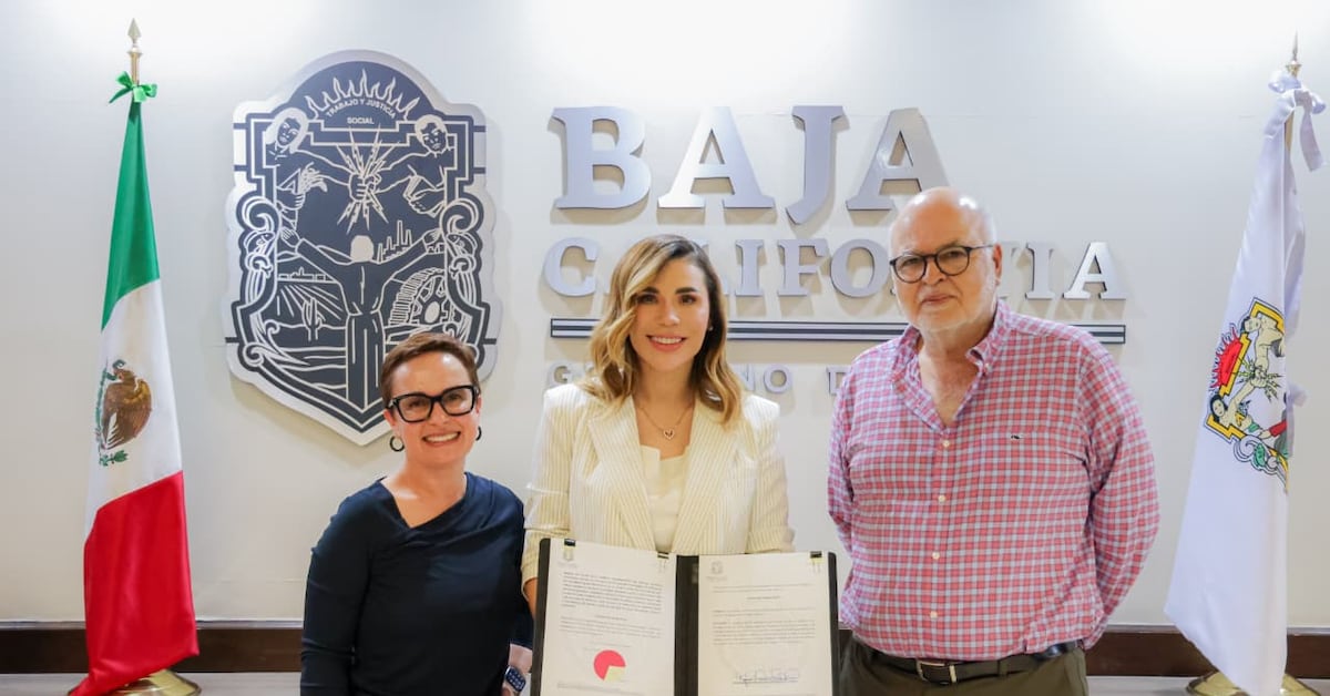 Presenta gobernadora de Baja California iniciativa para proteger industria vitivinícola