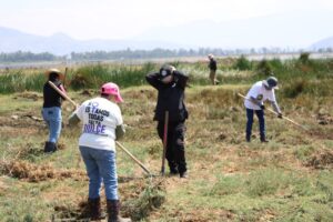 Hallan 53 indicios forenses en lagos de Tláhuac y Chalco