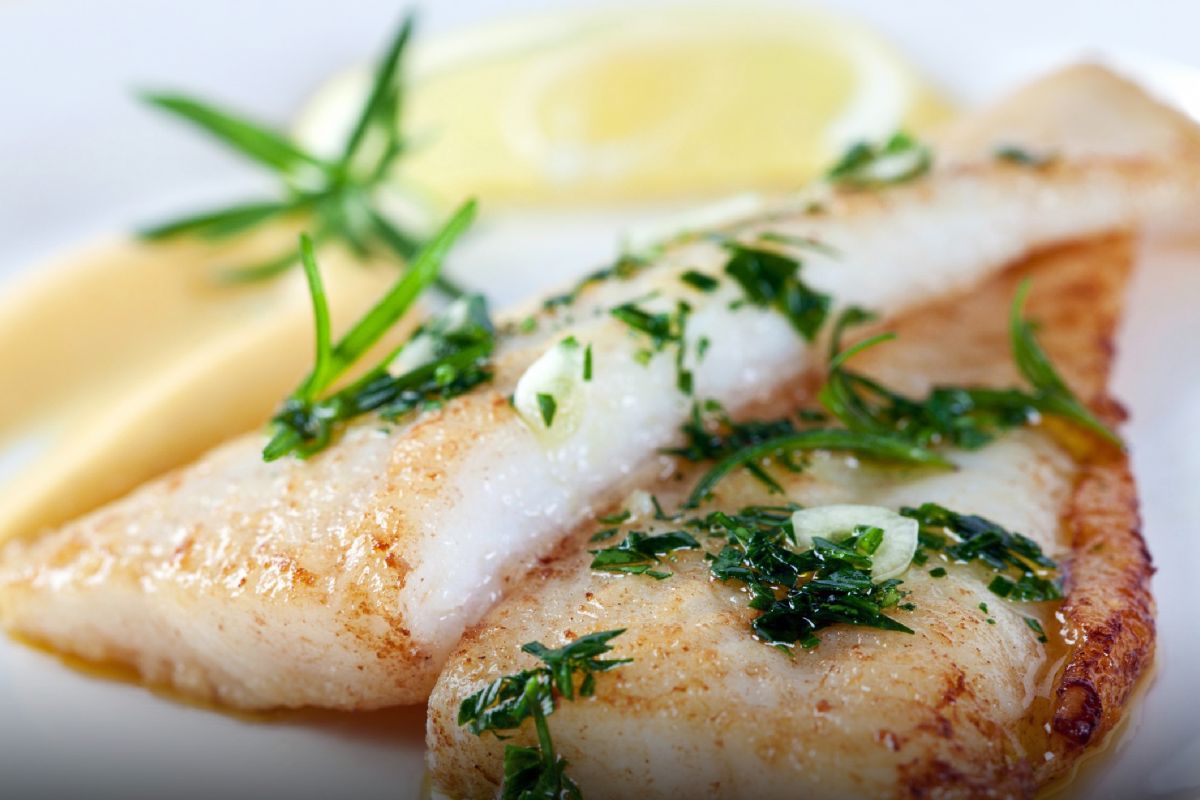 Profeco informa precios y beneficios nutricionales del pescado sierra para Cuaresma 2026