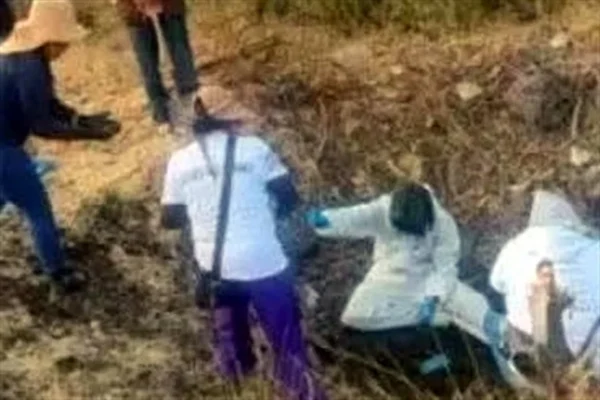 Hallan al menos 20 cuerpos en fosas clandestinas y un horno en Cortazar, Guanajuato