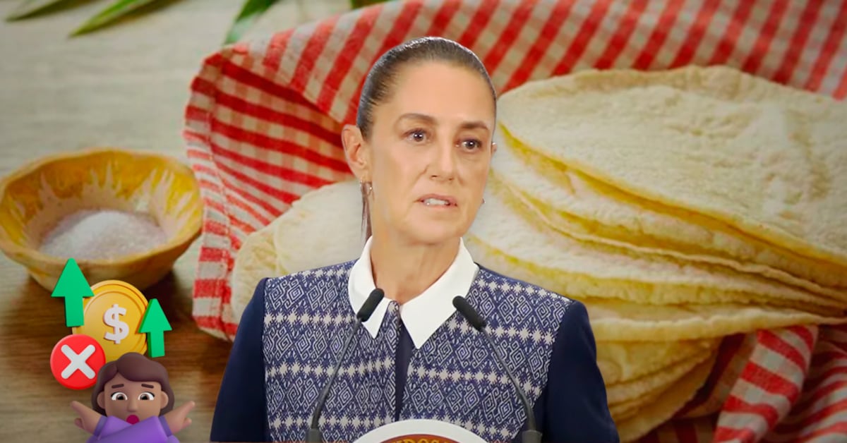 Sheinbaum y tortilleros discrepan sobre aumento de precio; CNT dice que acuerdo solo lo firmó 0.5% del gremio