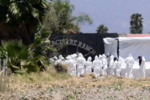 Guerreros Buscadores hallan numerosos restos óseos en Rancho Izaguirre, Jalisco