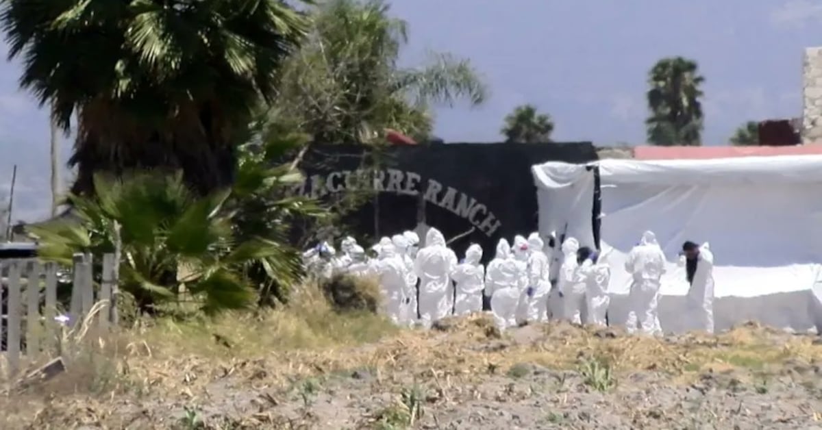 Guerreros Buscadores hallan numerosos restos óseos en Rancho Izaguirre, Jalisco