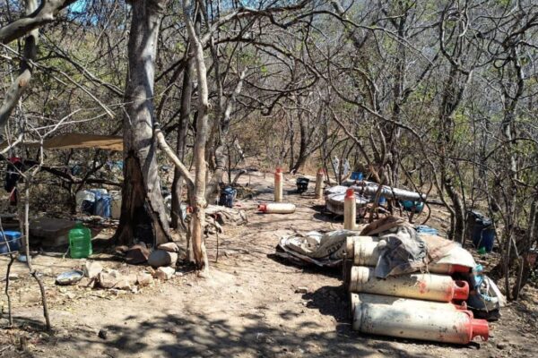 Autoridades neutralizan narcolaboratorio de Los Chapitos en Cosalá, Sinaloa
