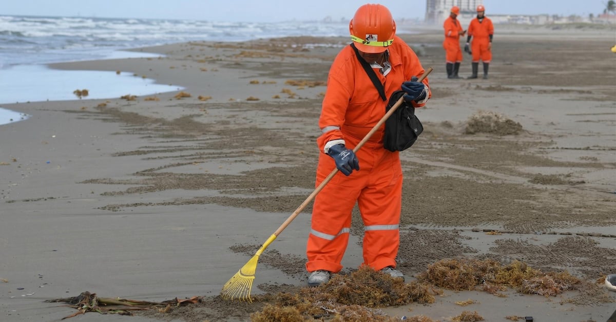 Recolectan 889.4 toneladas de hidrocarburo en 48 playas del Golfo de México