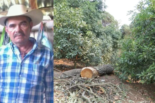 Asesinan al ambientalista Roberto Chávez en Madero, Michoacán