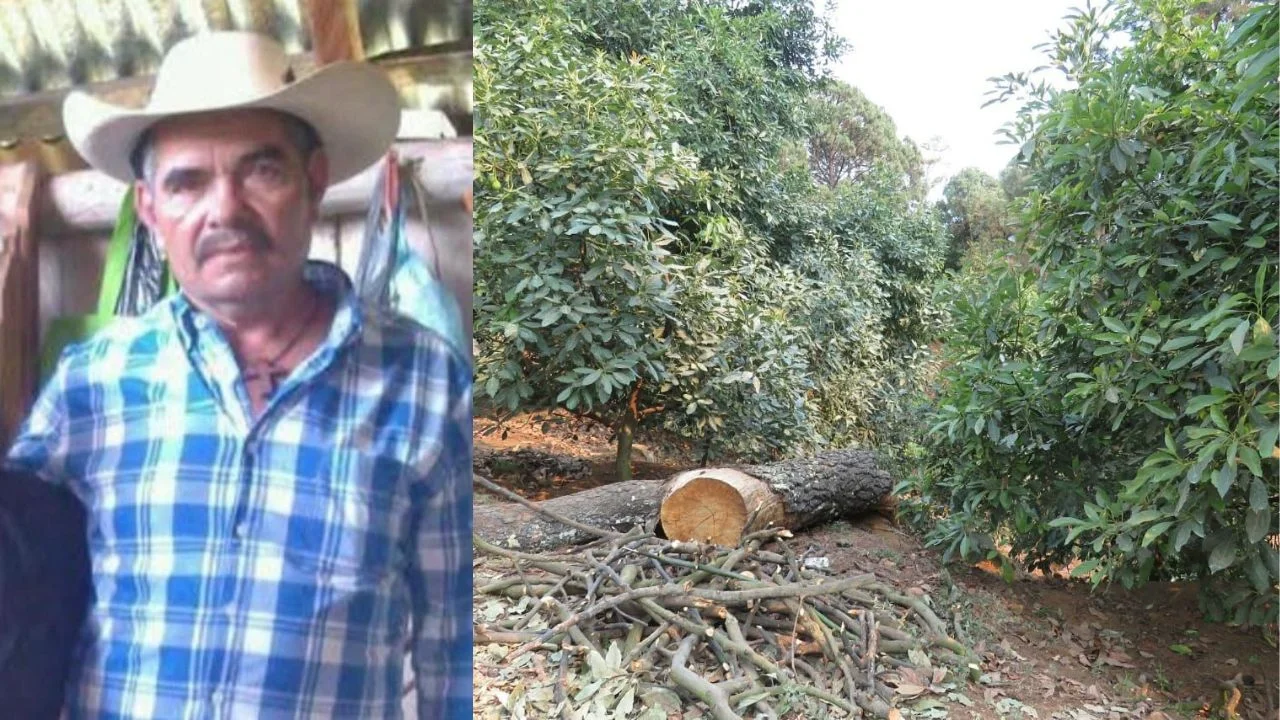 Asesinan al ambientalista Roberto Chávez en Madero, Michoacán