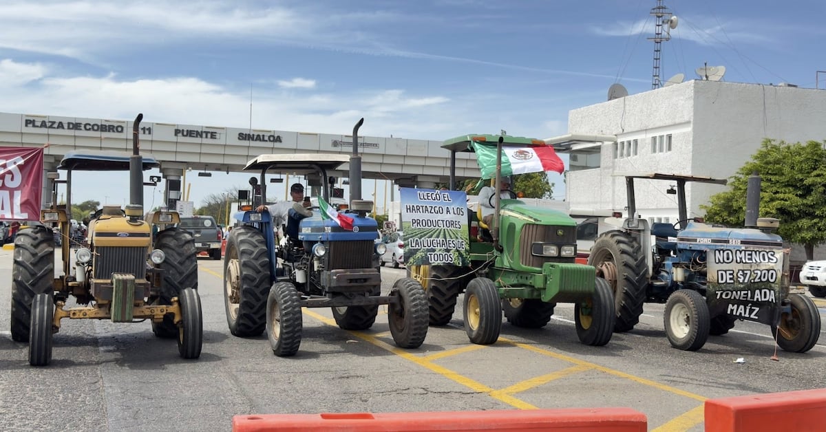 Productores de maíz en Guasave mantienen bloqueo pese a anuncio de liberación de fondos federales