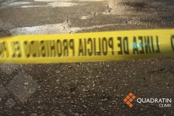 Denuncian fraudes millonarios, abusos sexuales y rescate internacional de menores en múltiples casos