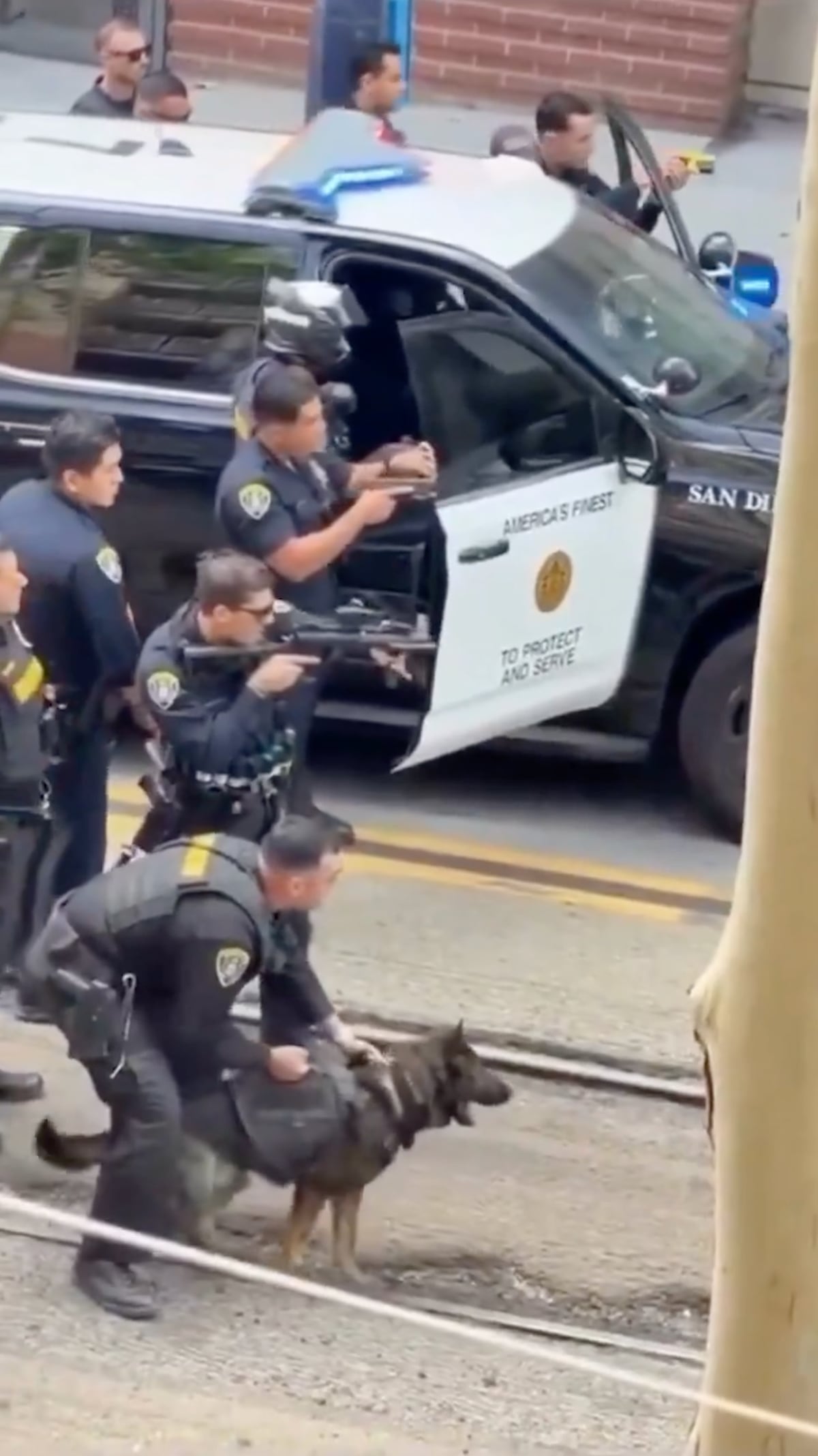Un perro policía asiste en el arresto de un hombre en San Diego