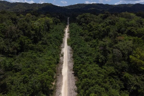 Perfil y ascenso de ‘Cabrero Segundo’, el líder criminal de la Selva Lacandona