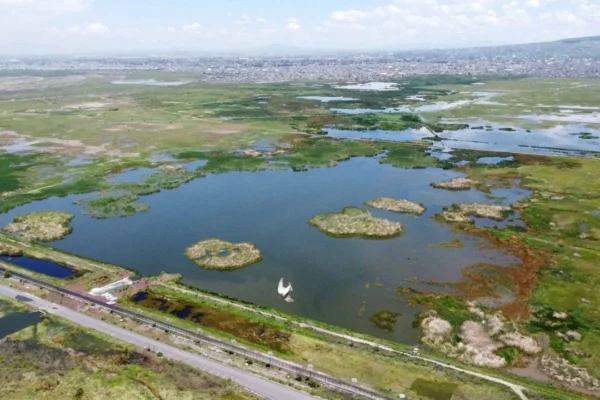 SCJN valida declaratoria del Lago de Texcoco como Área Natural Protegida