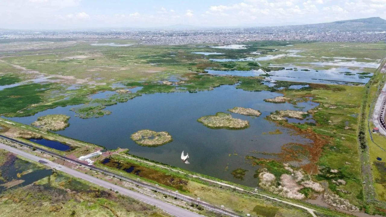 SCJN valida declaratoria del Lago de Texcoco como Área Natural Protegida