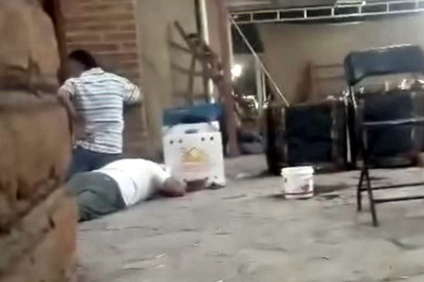Balacera en pelea de gallos deja cinco muertos en Querétaro; asesinato de líder transportista provoca bloqueos en Oaxaca