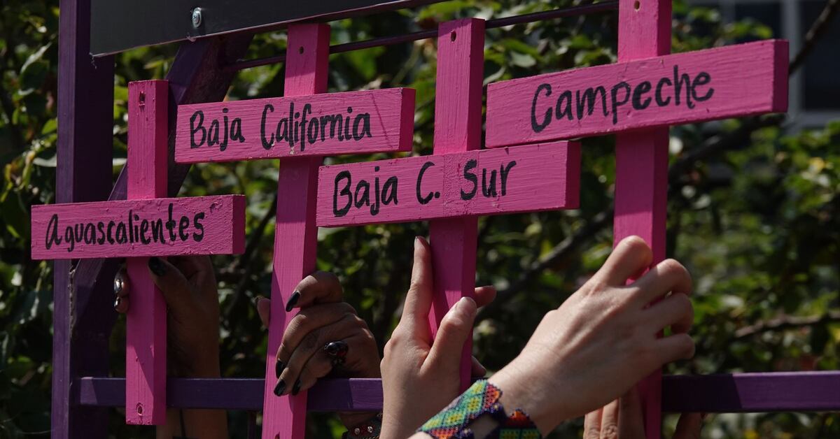 Avanza reforma para Ley General contra el feminicidio y se presenta iniciativa para representación juvenil